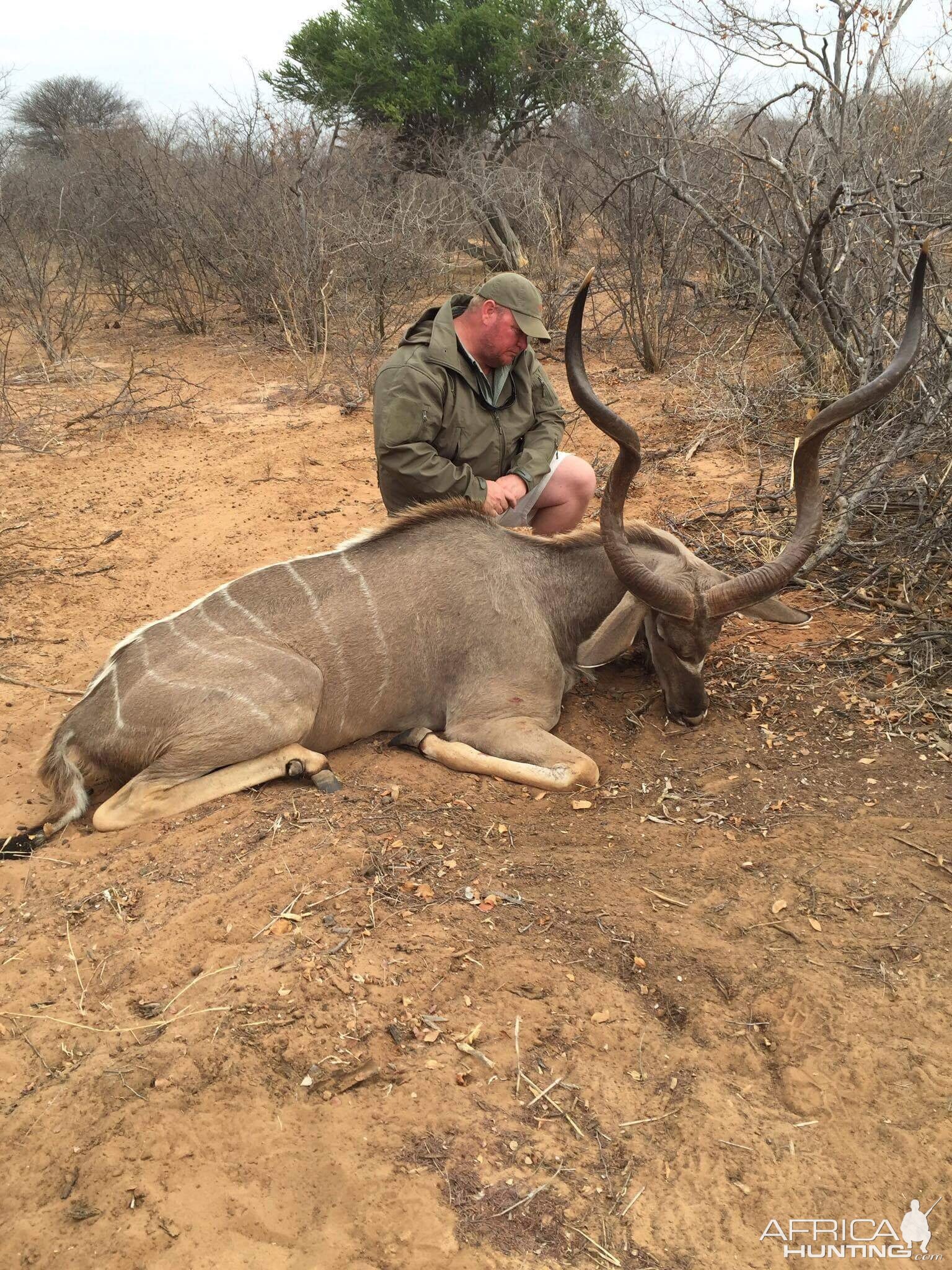 Kudu Hunting