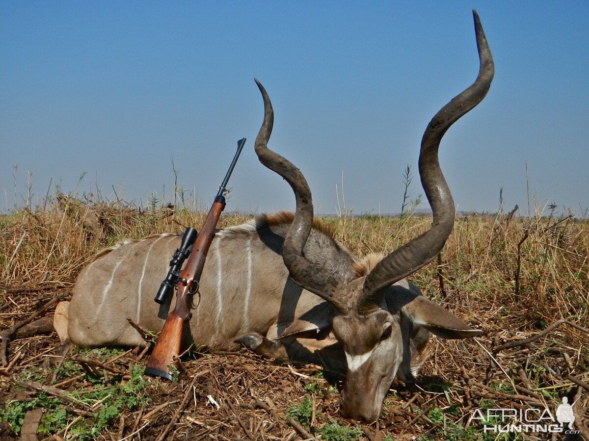 Kudu Hunting