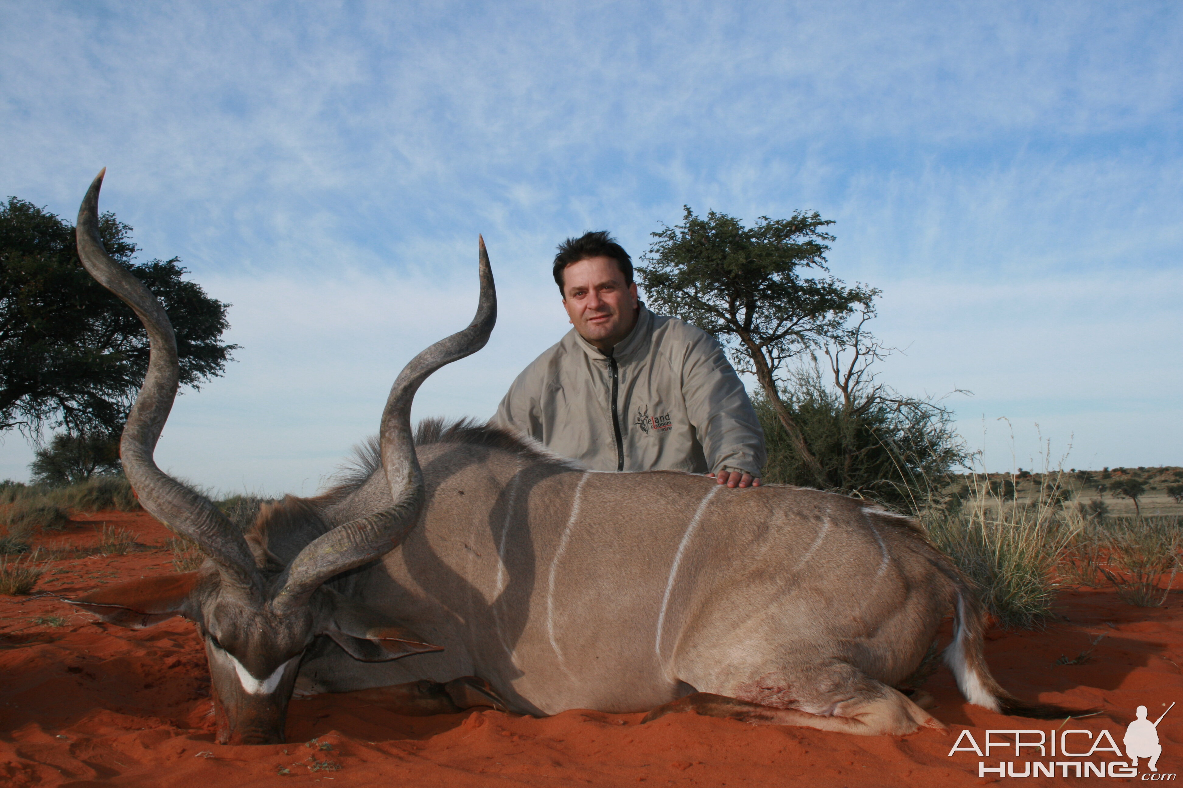 Kudu in the Kalahari