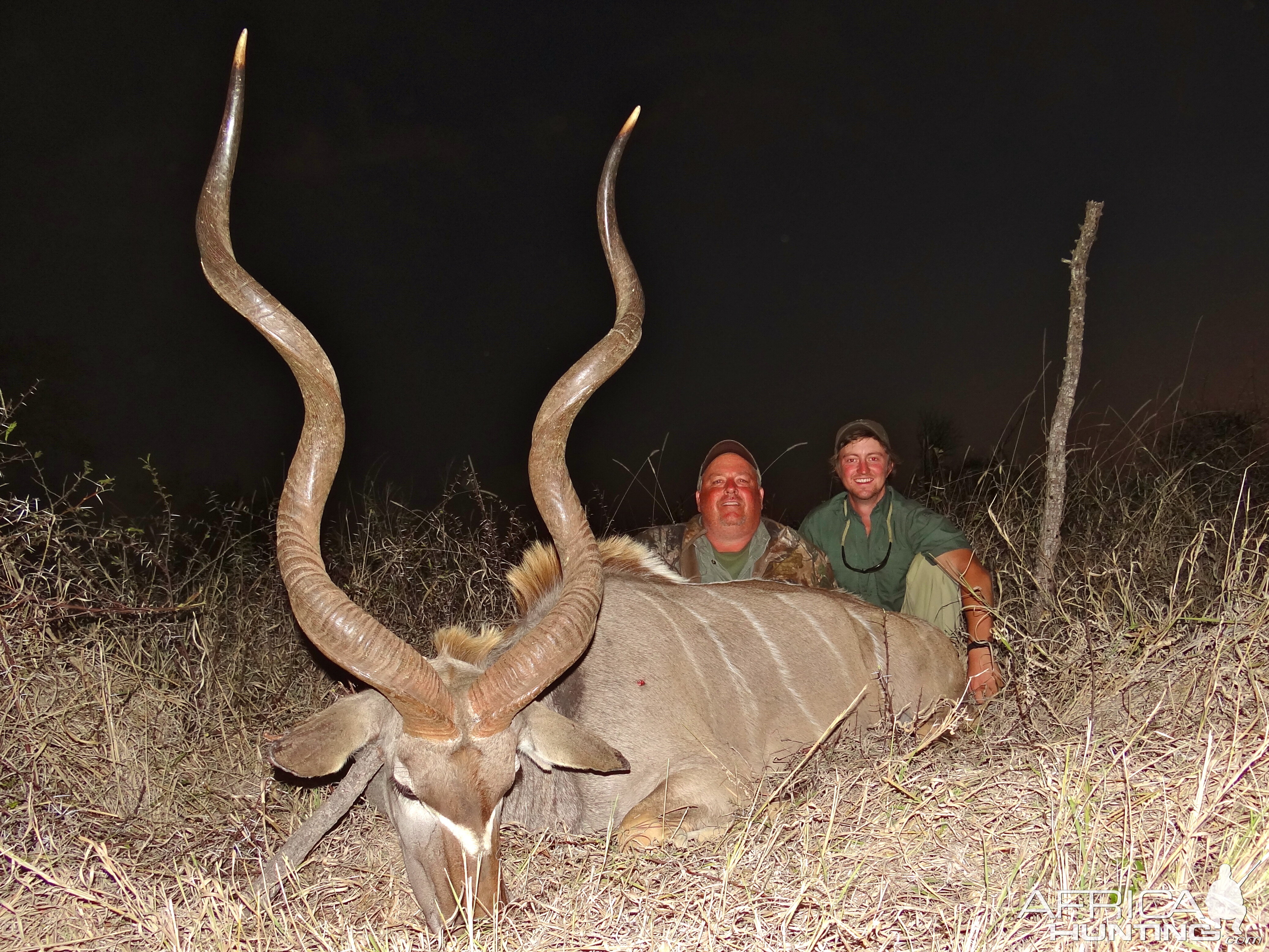 Kudu ~ Limpopo Province, South Africa