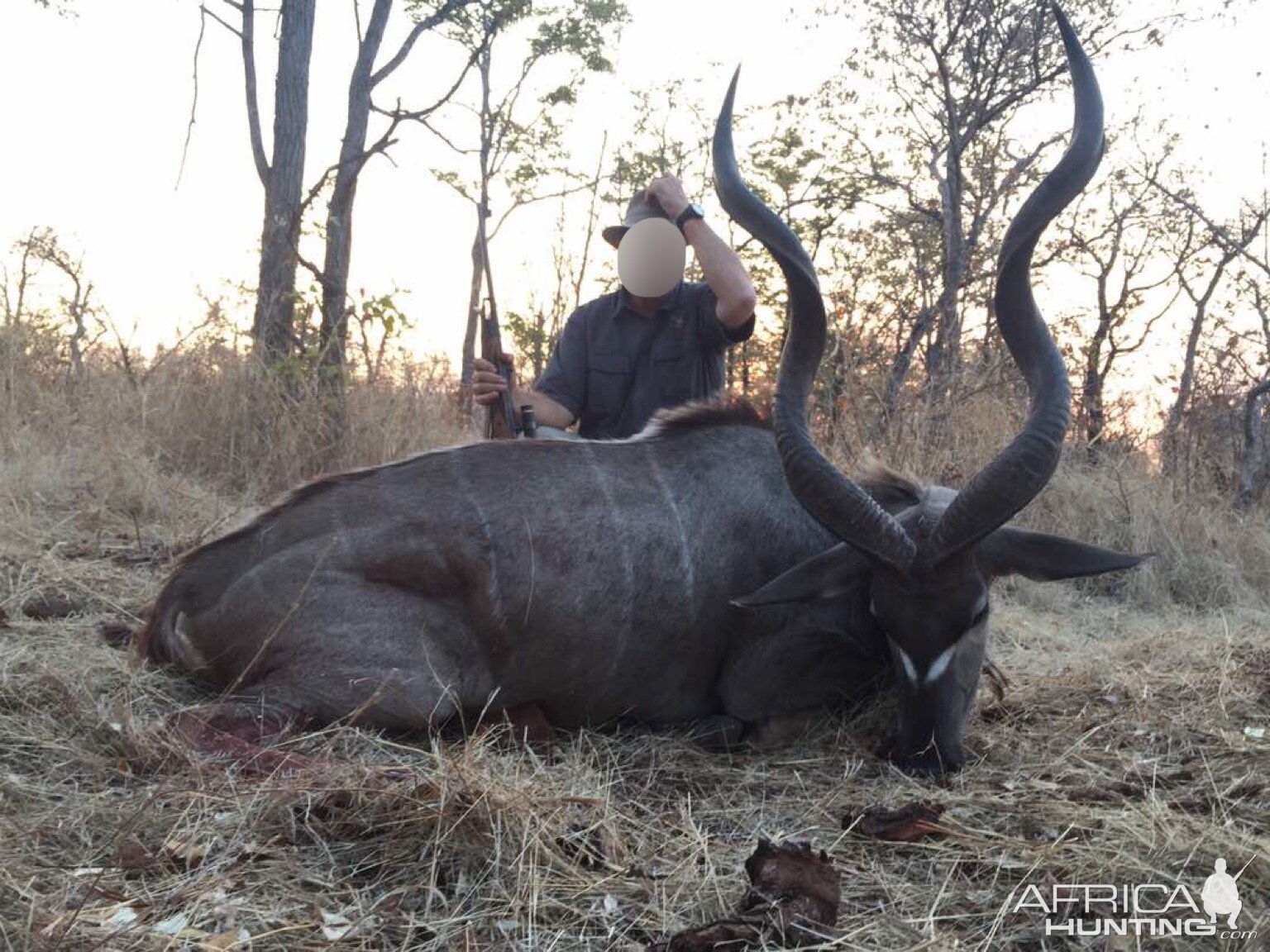 Kudu Matetsi Zimbabwe Hunting