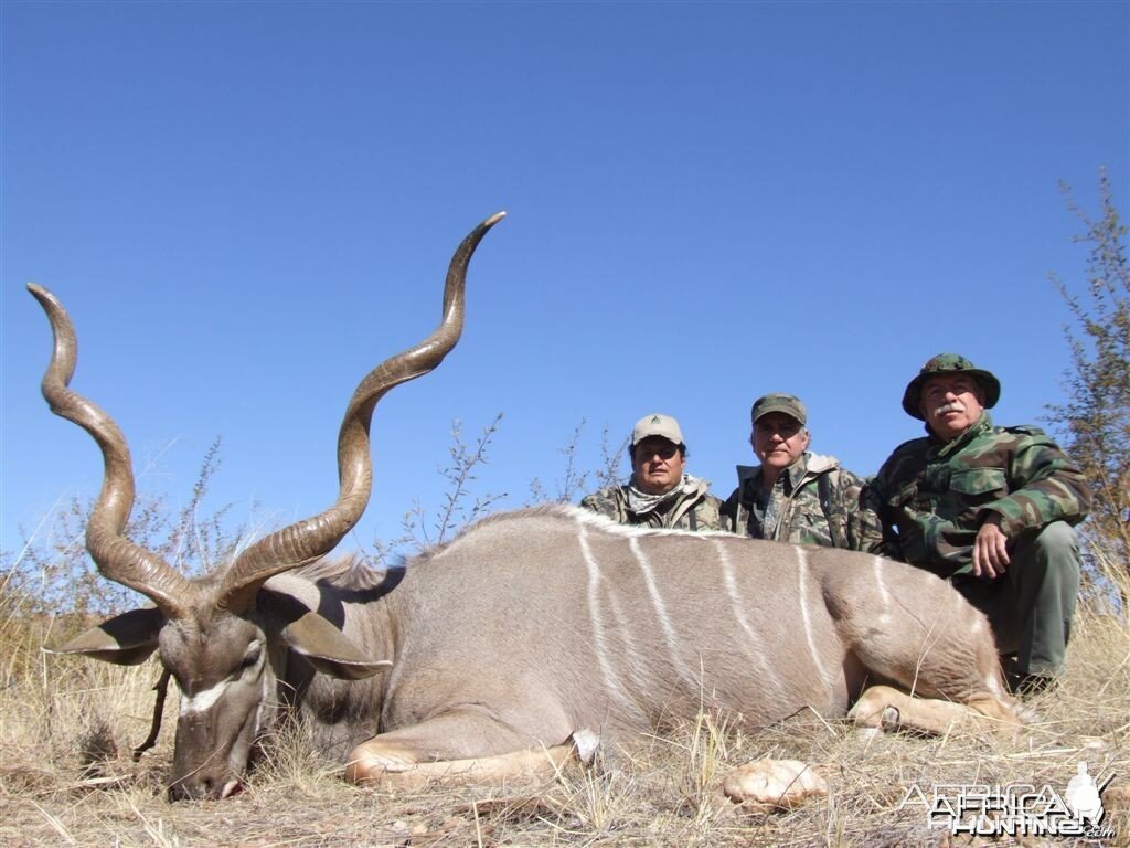 Kudu Namibia