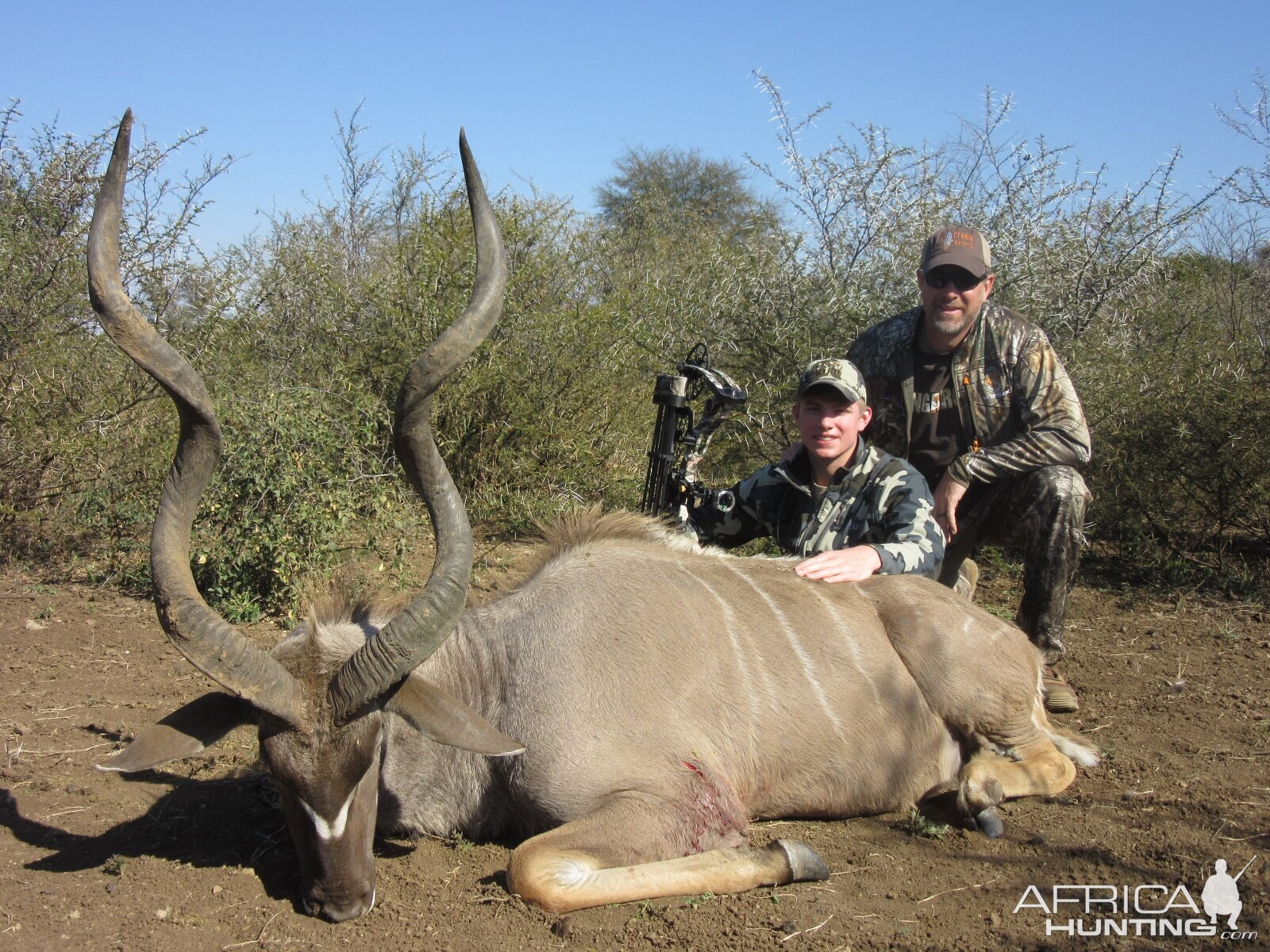 Kudu South Africa Bow Hunting