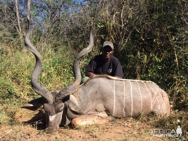 Kudu Zimbabwe Hunt