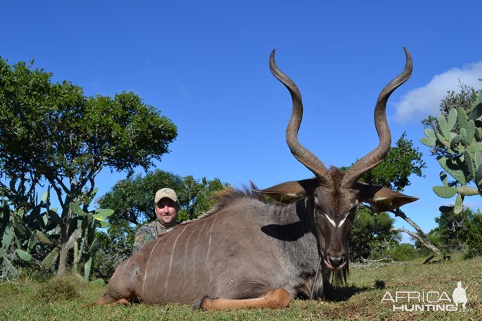 Kudu