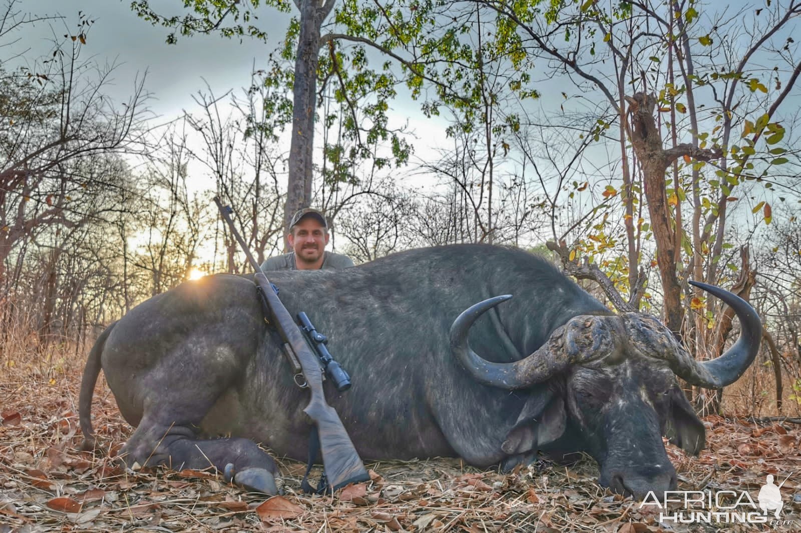 Kwalata Safaris Cape Buffalo Mozambique, 2021