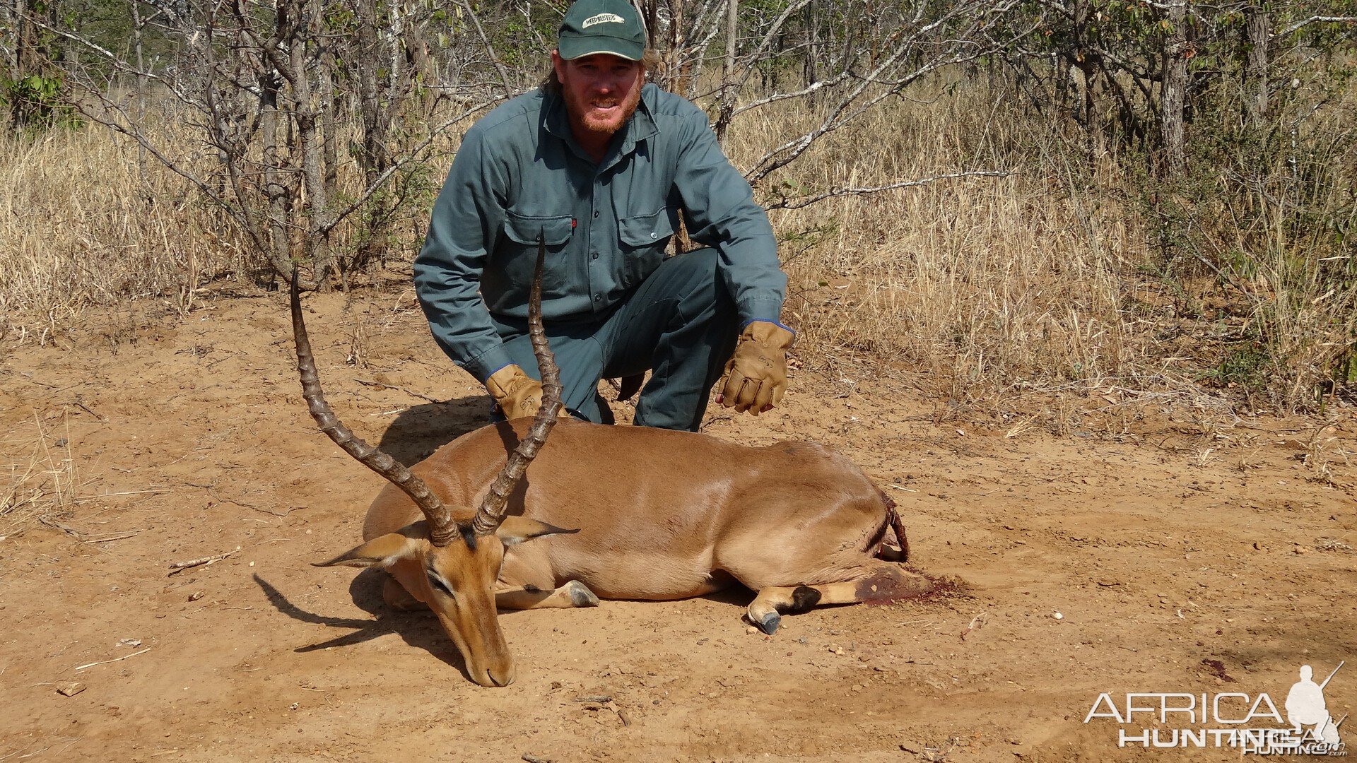 Lacka Impala