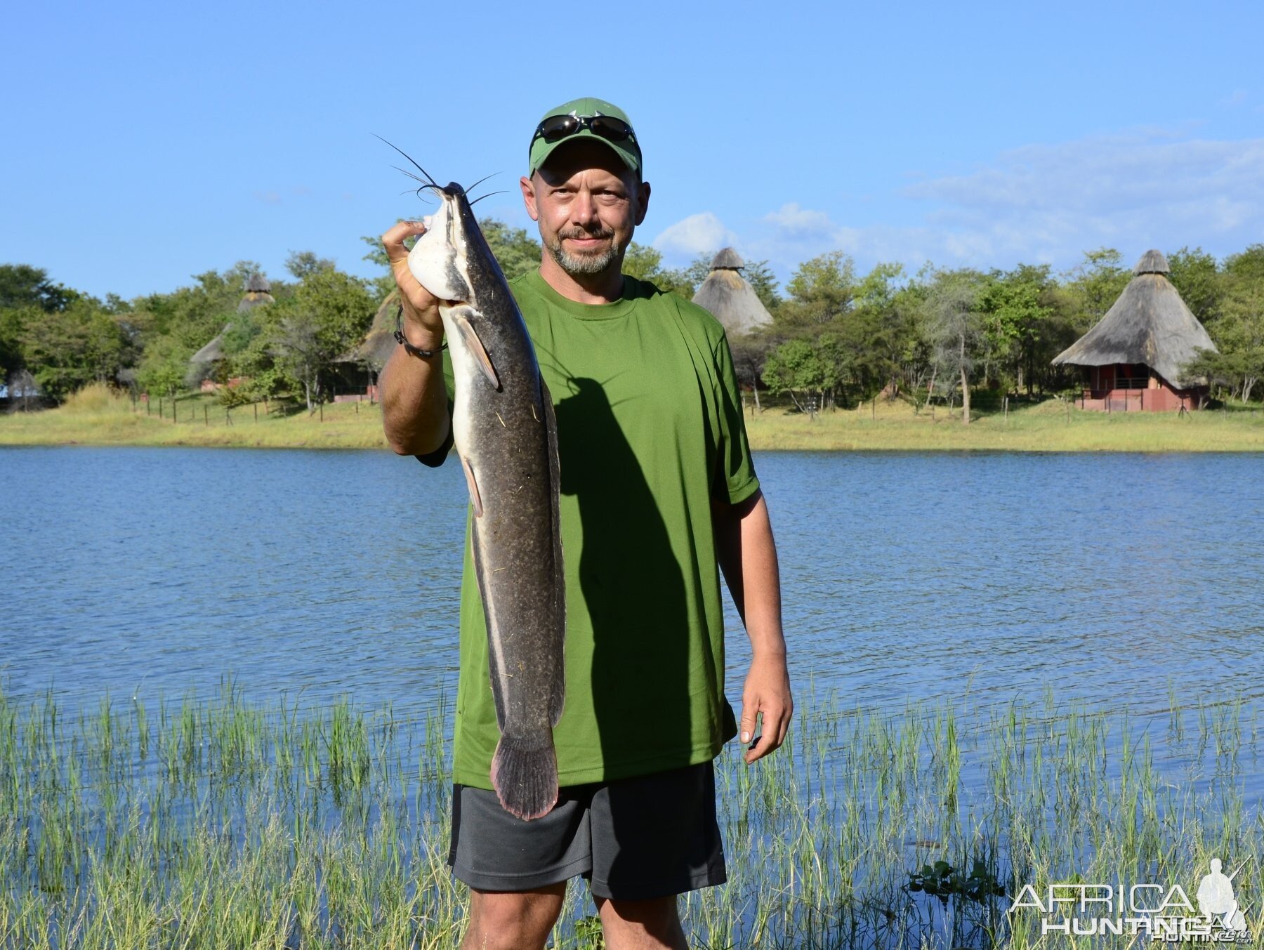 Lake Kariba Catfish