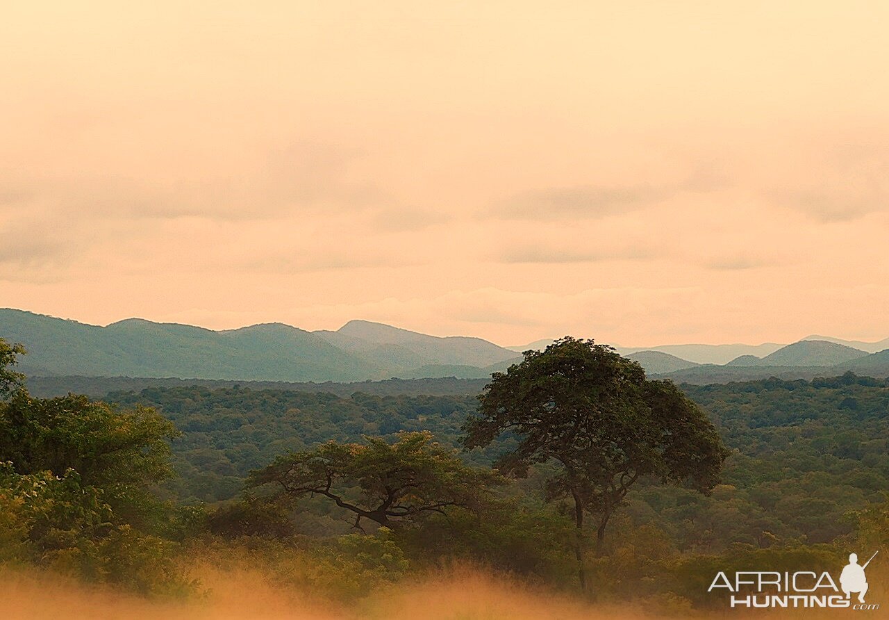 Landscape & Area Zambia Nature