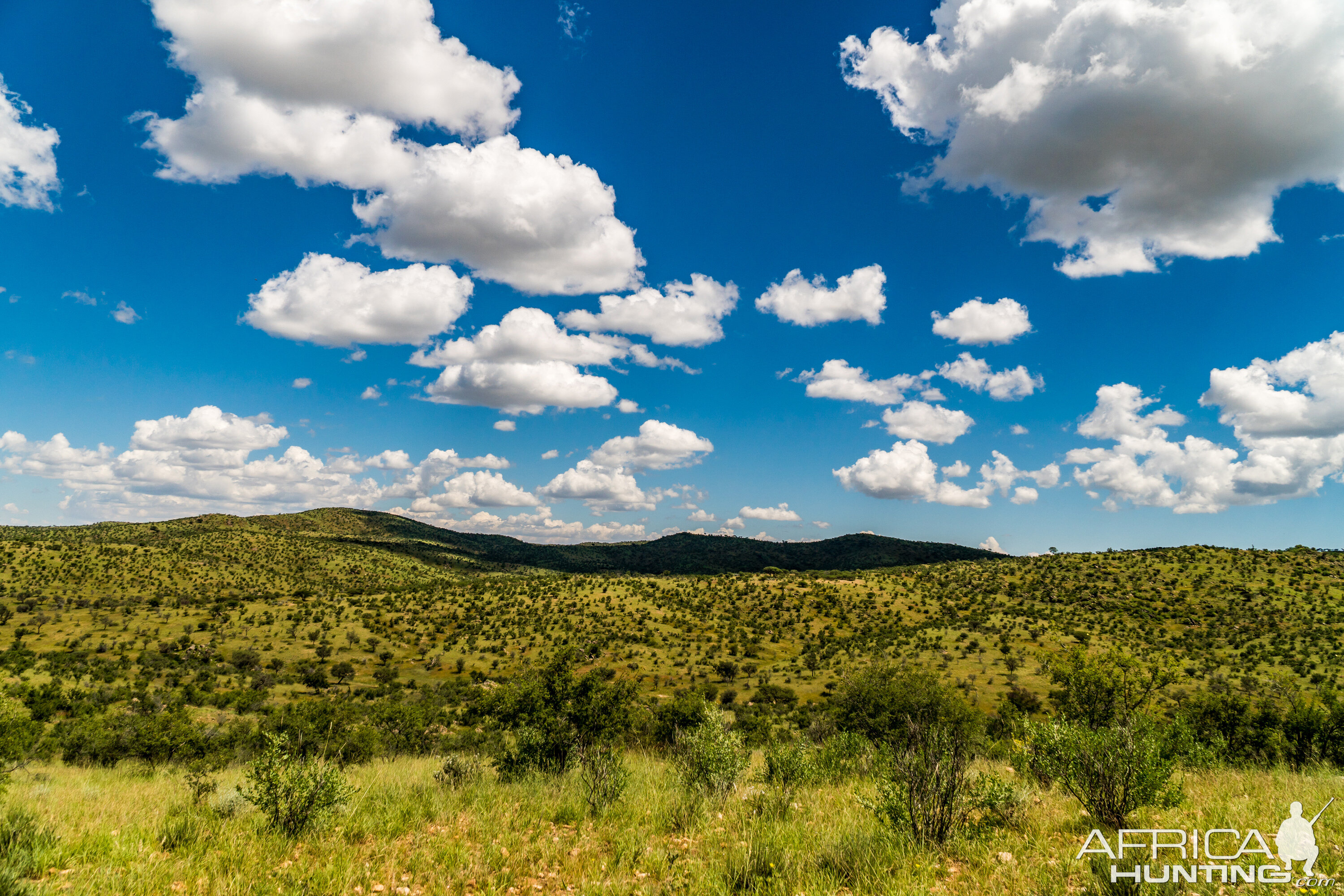 Landscape Namibia Nature