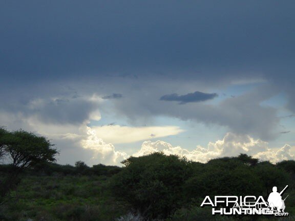 Landscape Namibia