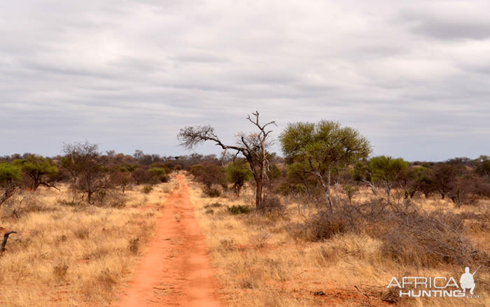 Landscape view