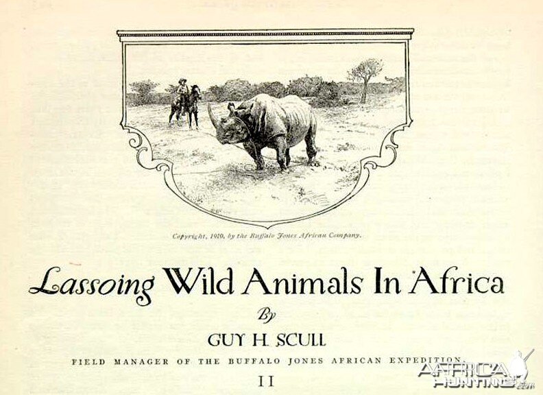 Lassoing Wild Animals in Africa