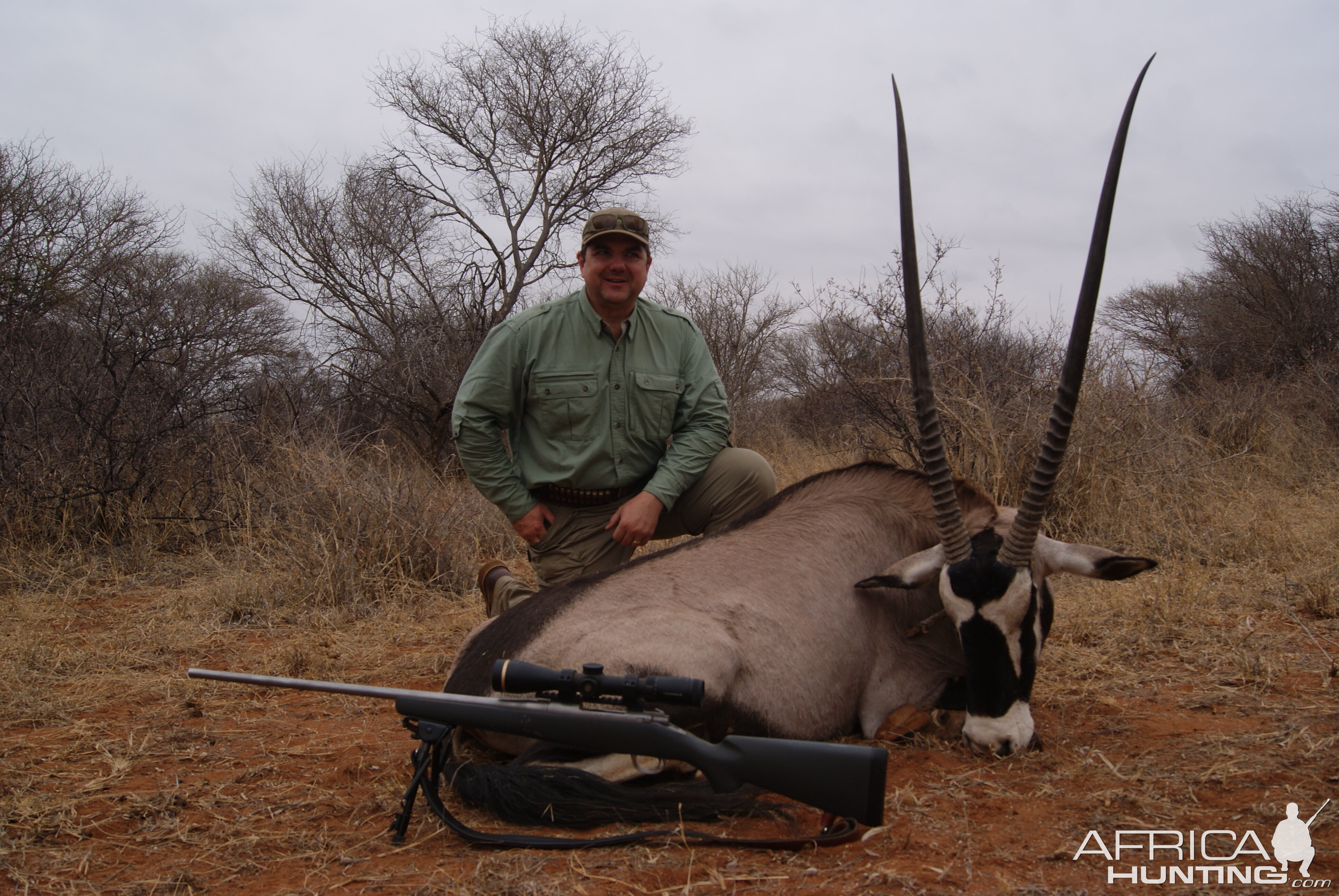 Last Minute Gemsbok Bull