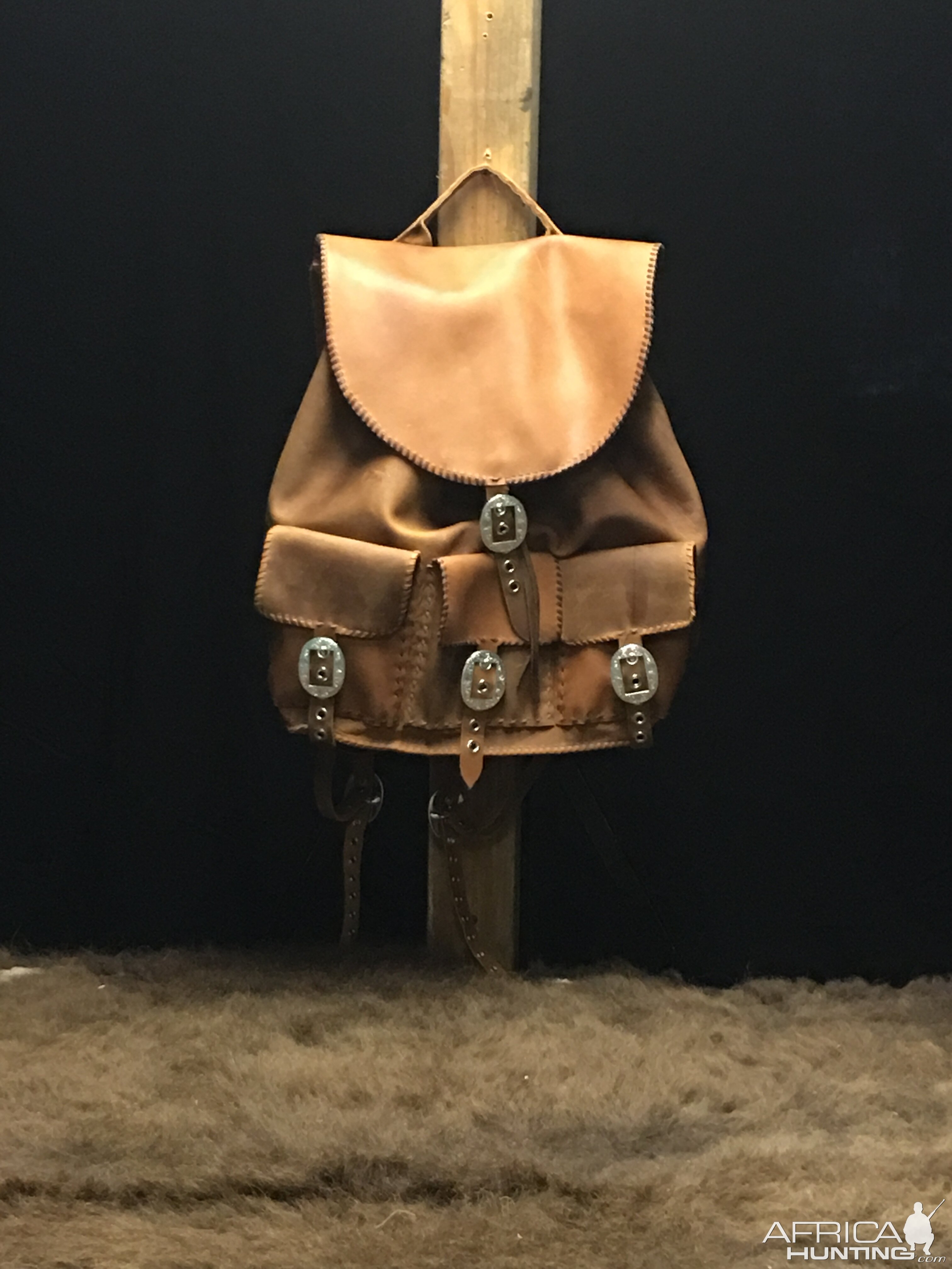 Leather Bag Taxidermy