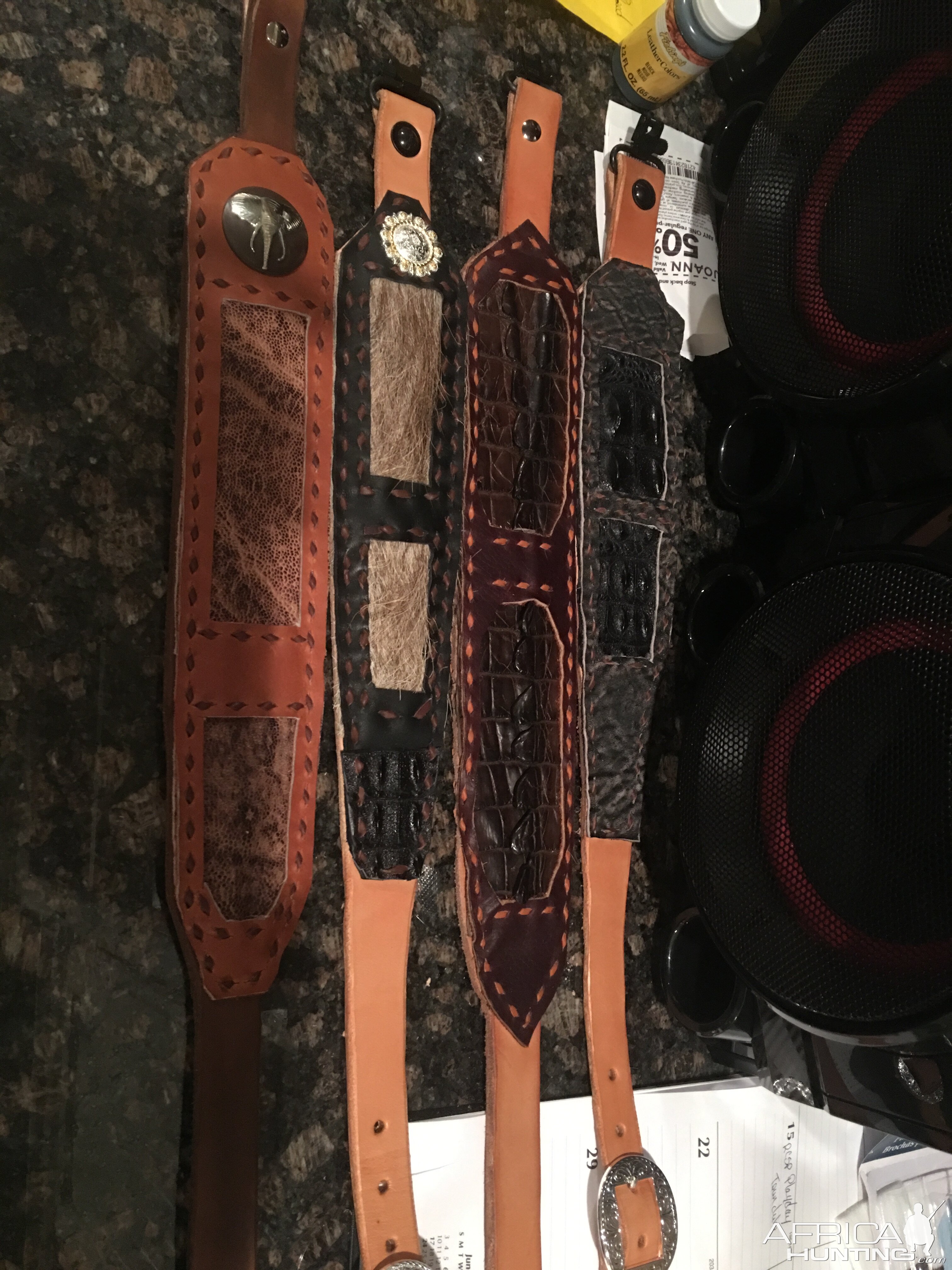 Leather Belt Taxidermy