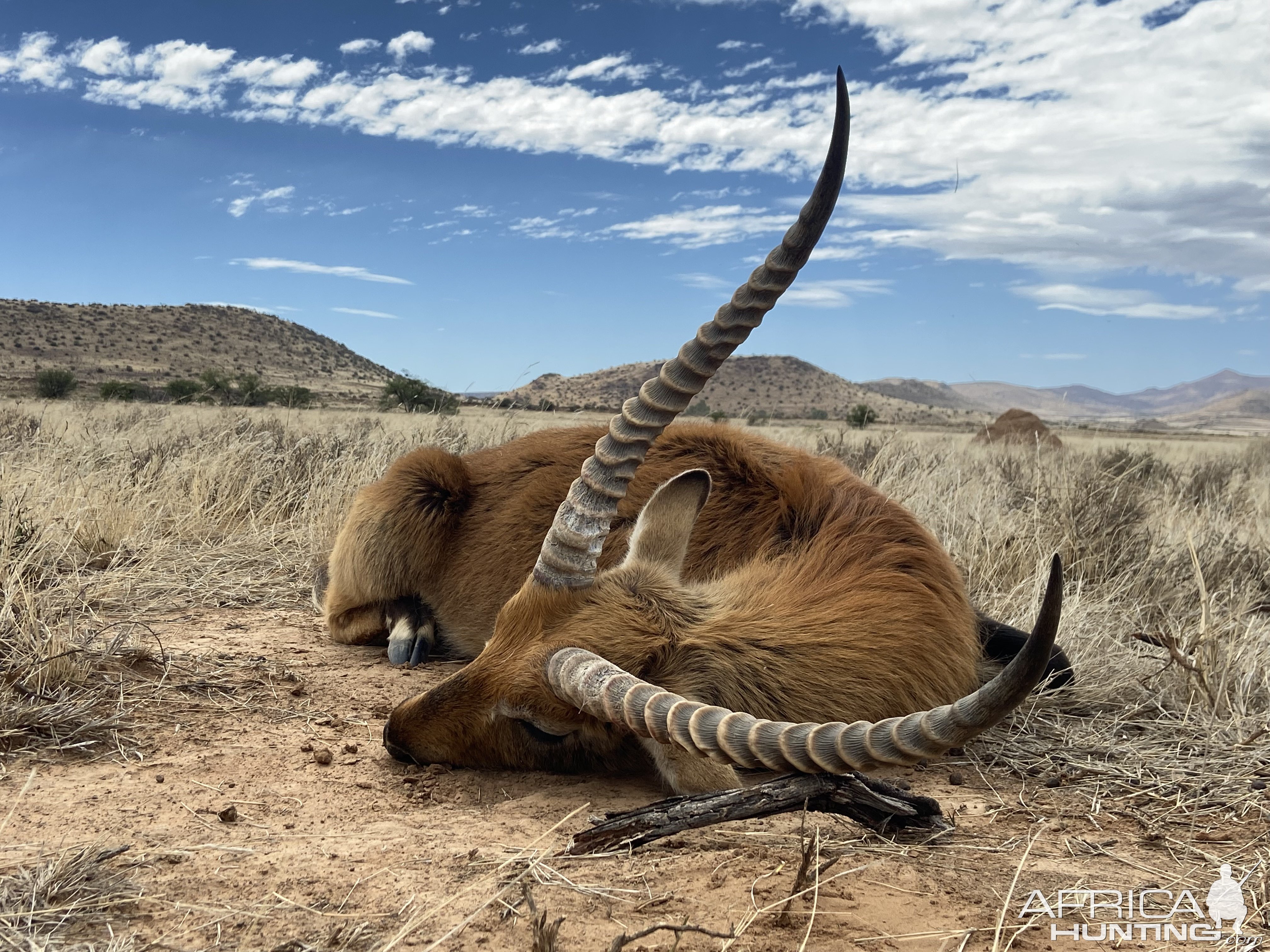 Lechwe Hunt Eastern Cape South Africa