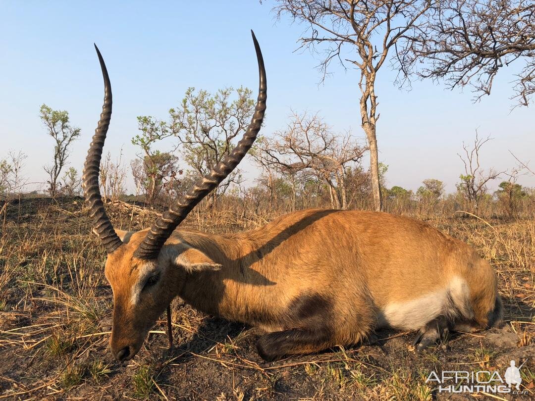 Lechwe Hunt Zambia