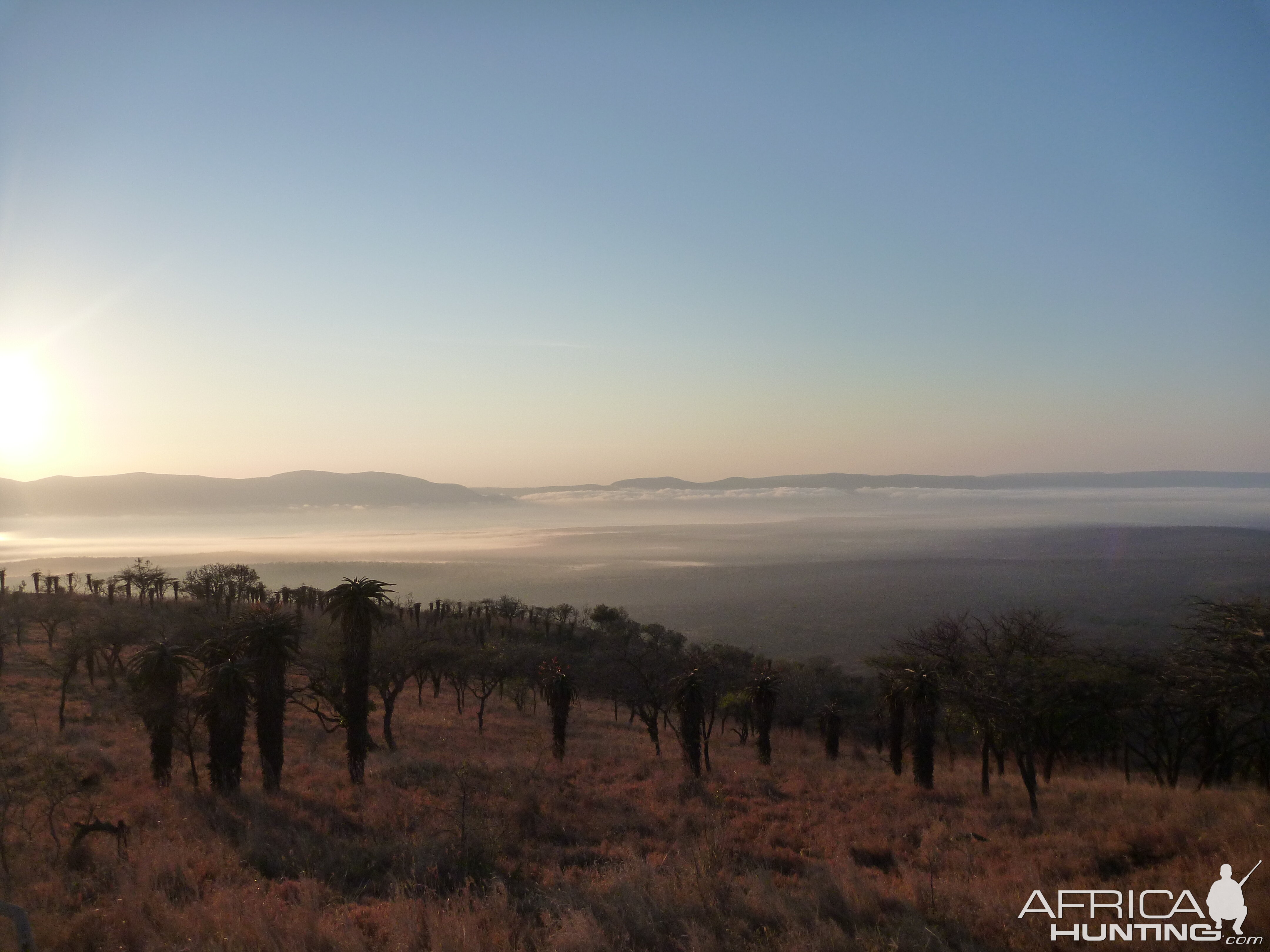 Leeukop Sunrise