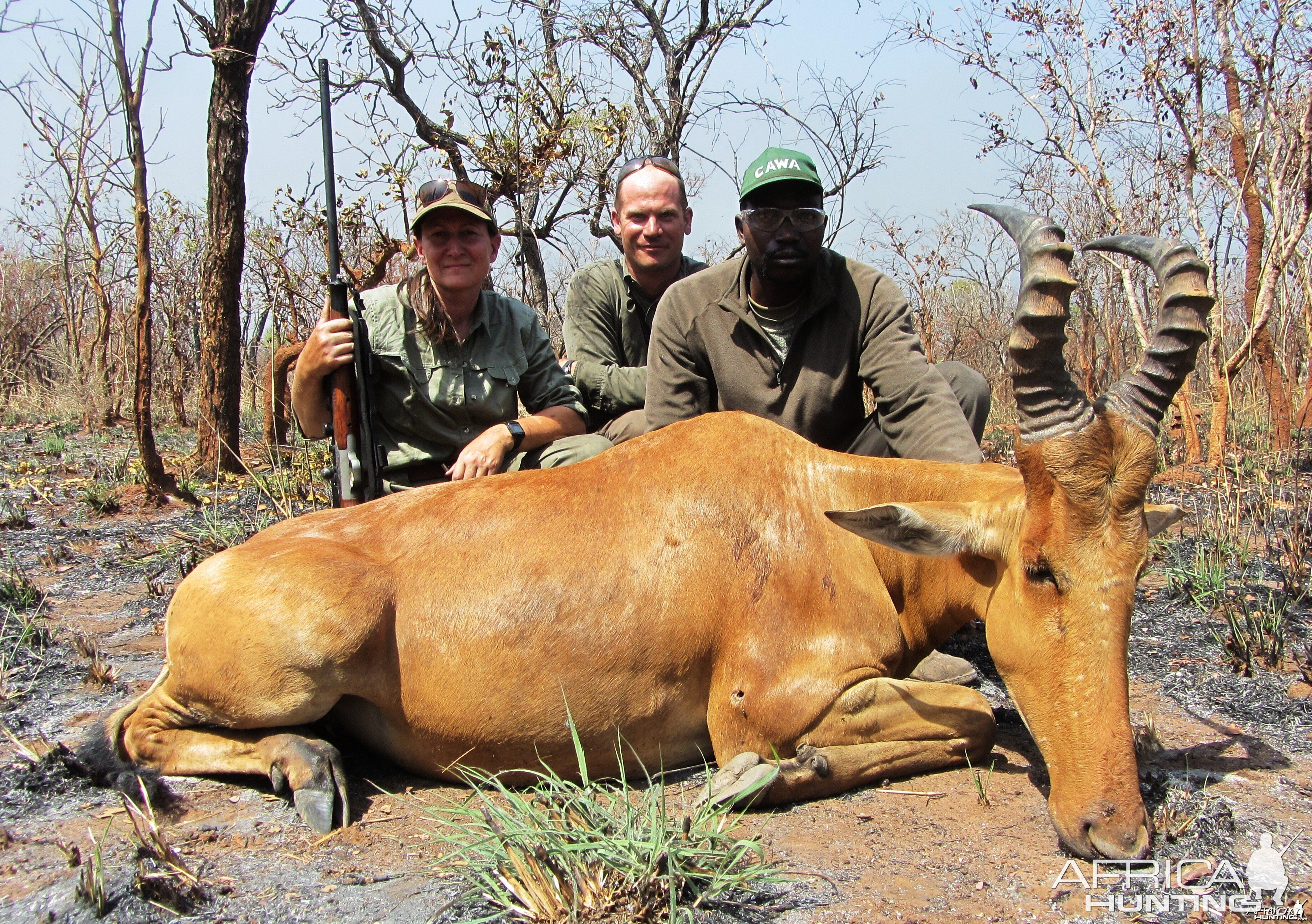 Lelwed Hartebeest hunted in CAR