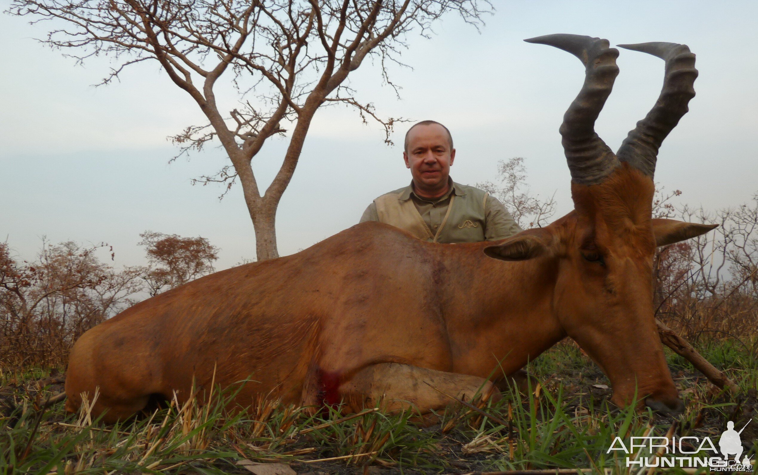 Lelwel Hartebeest hunted in Central Africa with Club Faune