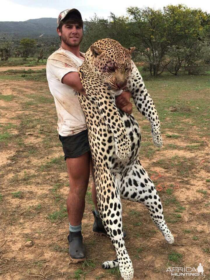 Black leopard mauls man who paid to have pictures taken