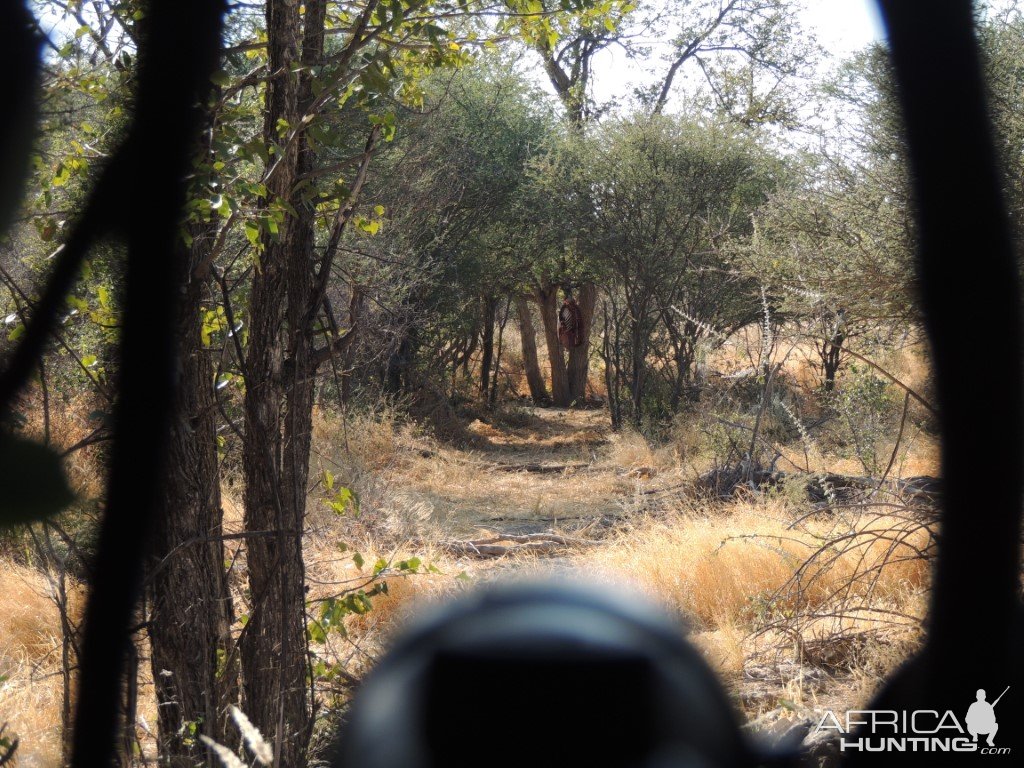 Leopard Blind Namibia