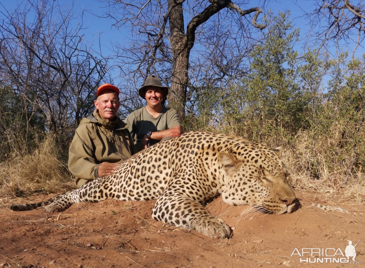 Leopard Hunt Botswana