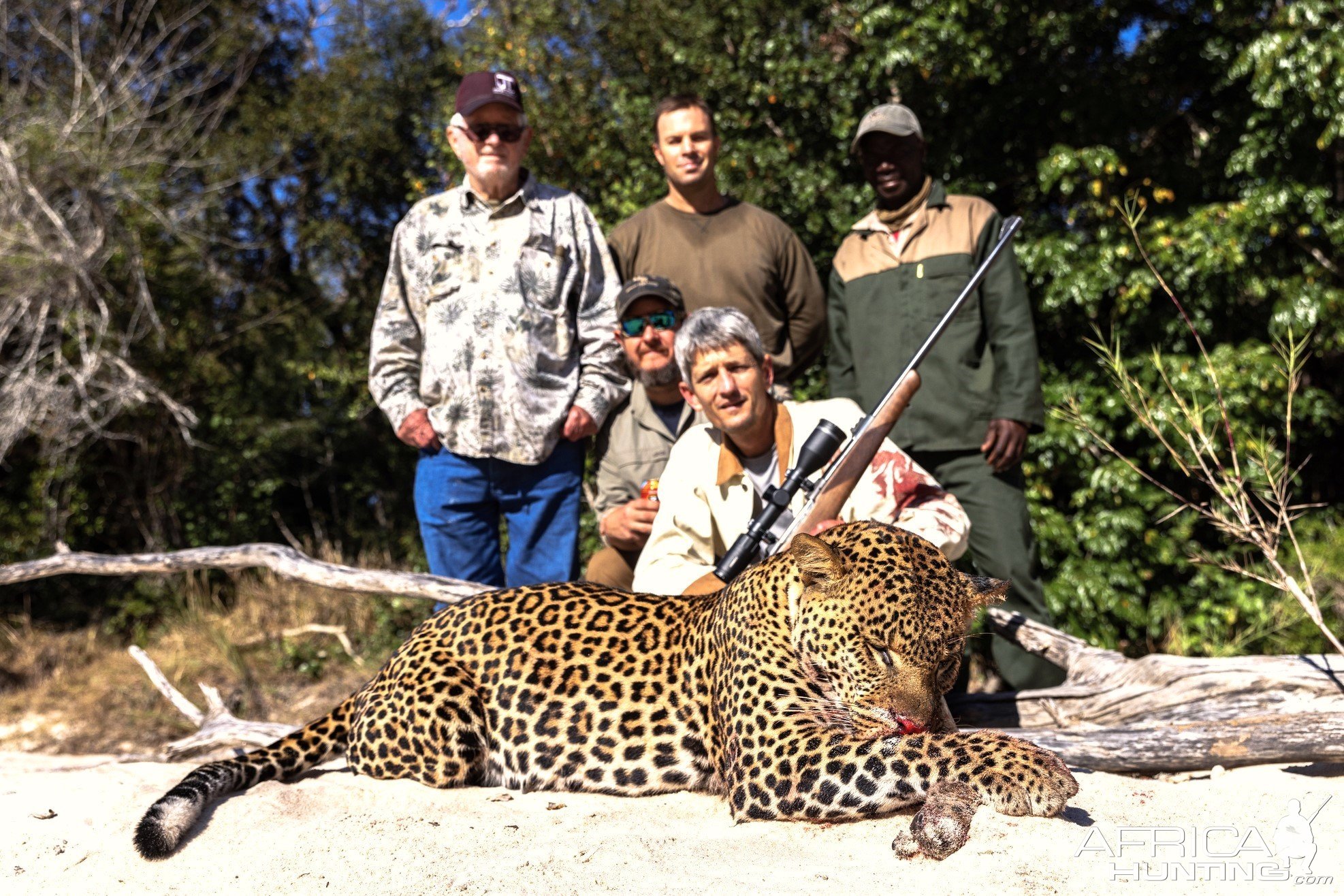 Leopard Hunt Mozambique