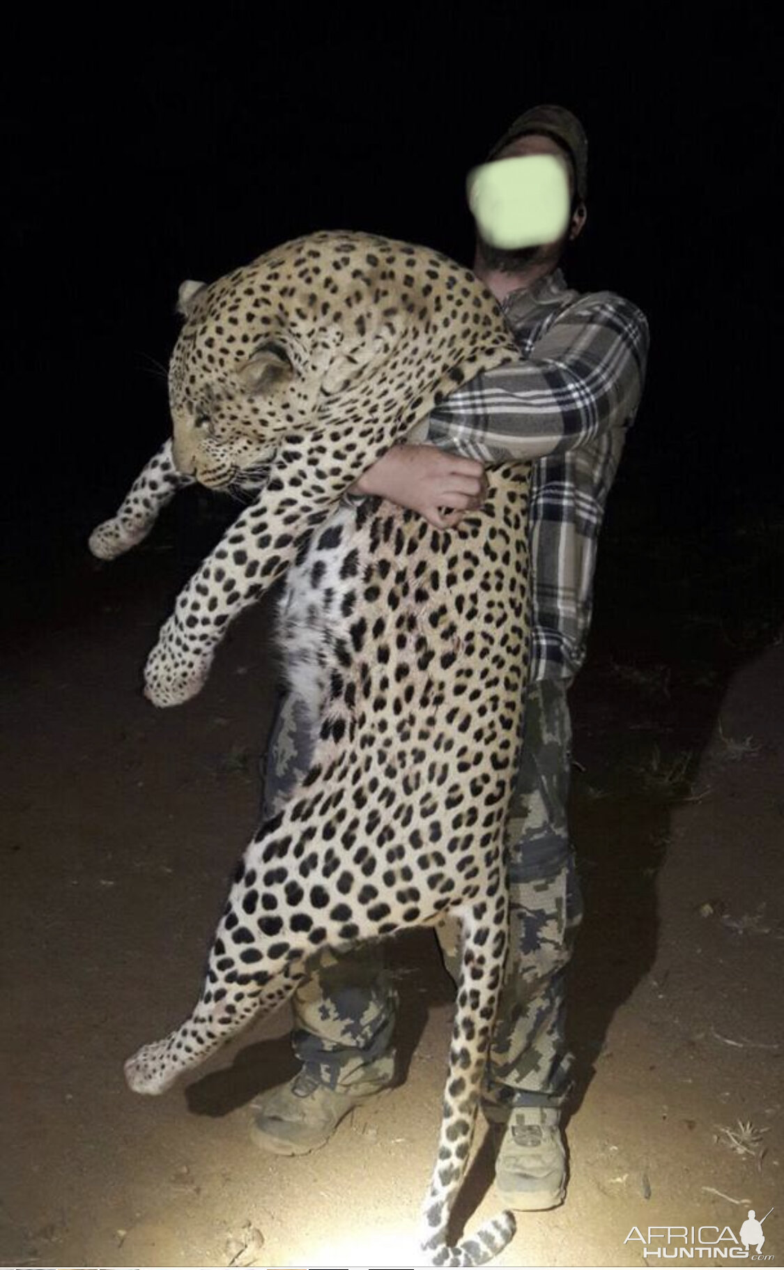 Leopard Hunt Namibia | AfricaHunting.com