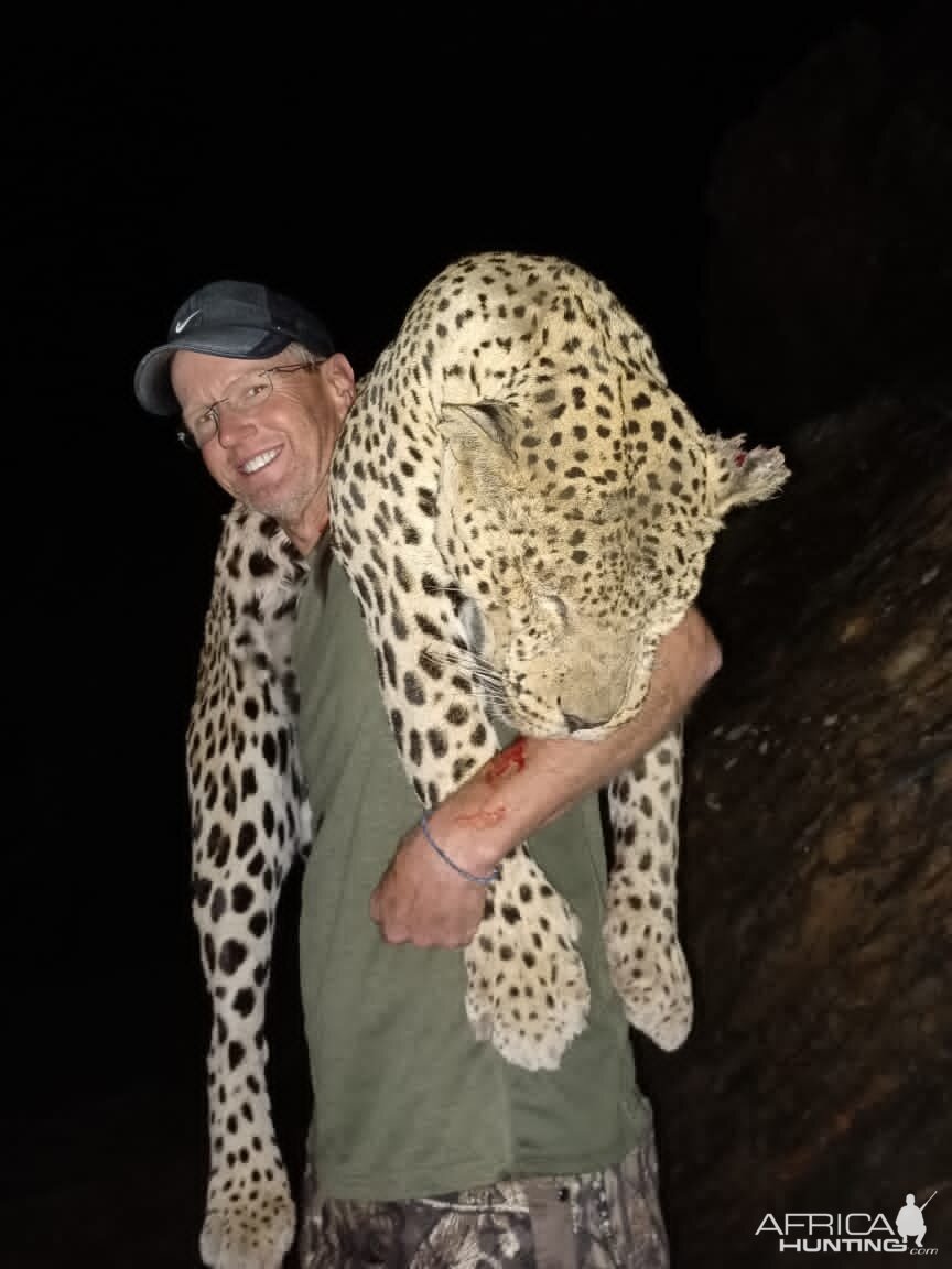 Leopard Hunt Namibia