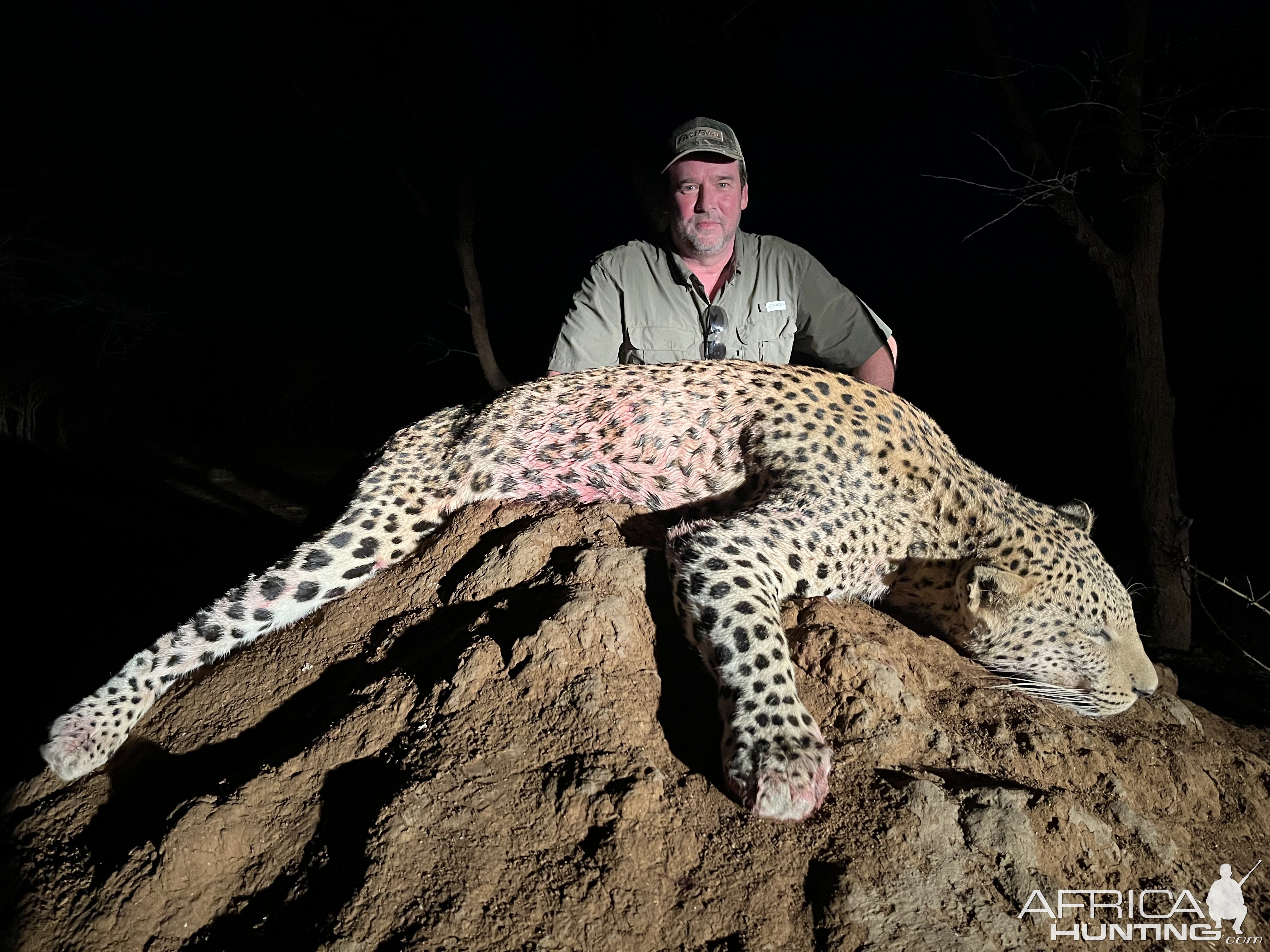 Leopard Hunt Namibia