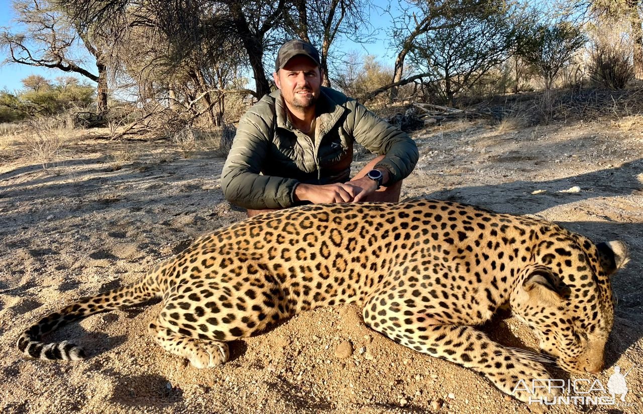 Leopard Hunt Namibia