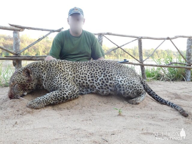 Leopard Hunt Tanzania