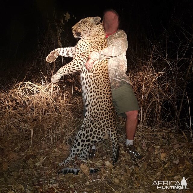 Leopard Hunt Tanzania | AfricaHunting.com