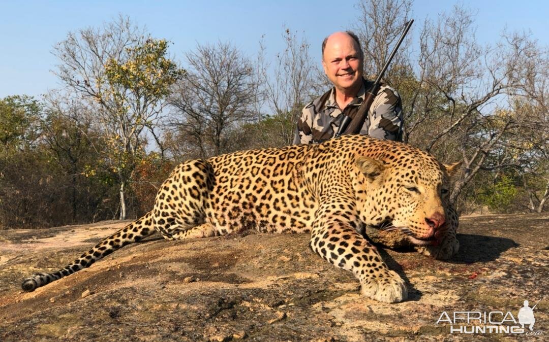 Leopard Hunt Zimbabwe