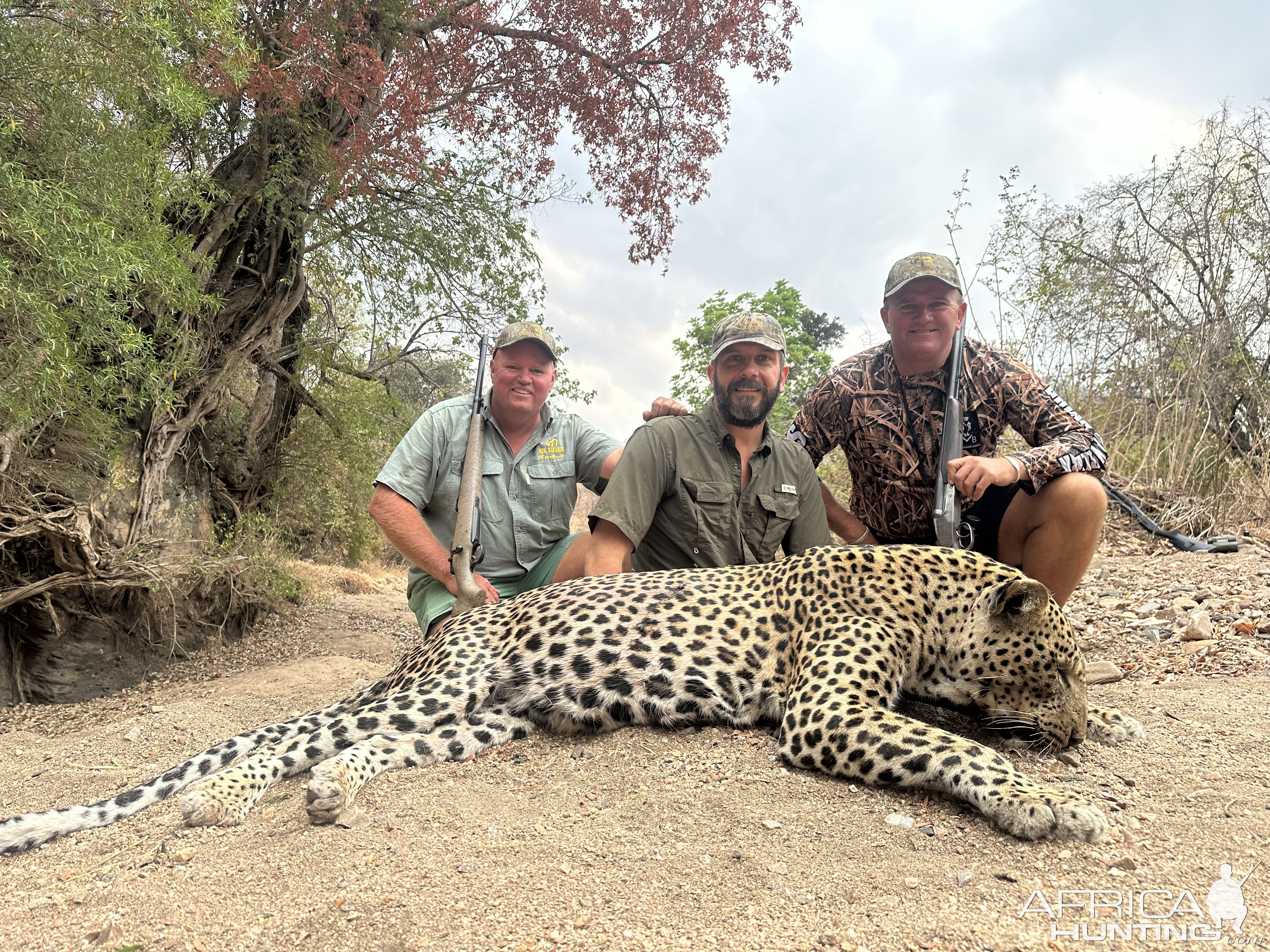 Leopard Hunt Zimbabwe