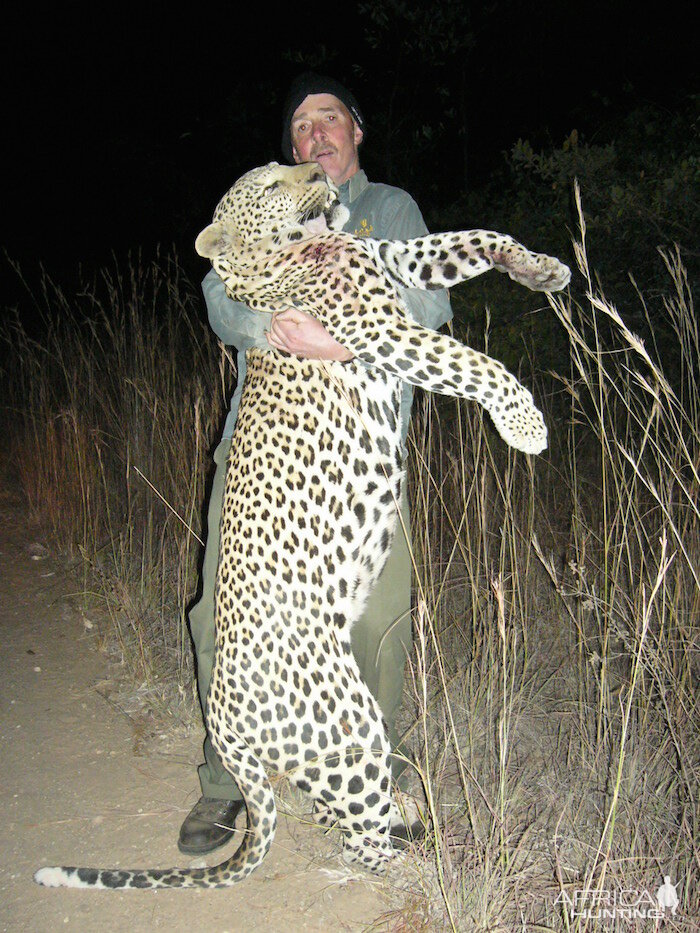 Leopard Hunt Zimbabwe | AfricaHunting.com