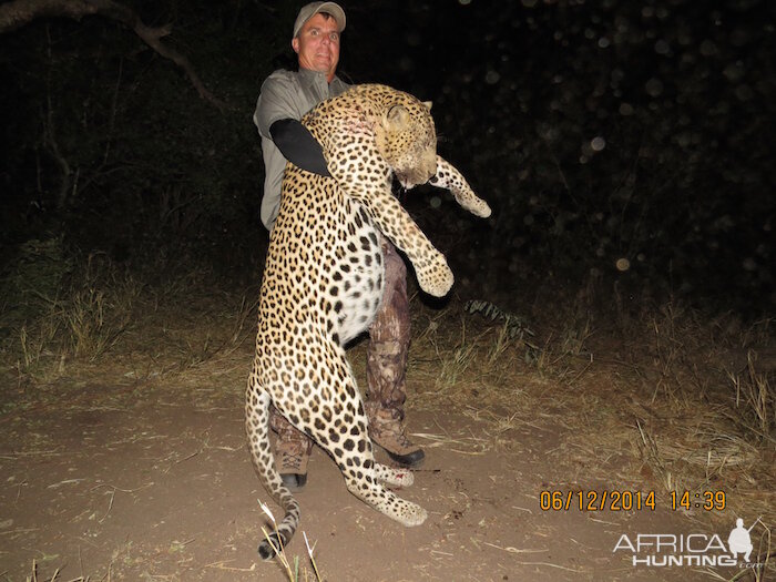 Leopard Hunt Zimbabwe