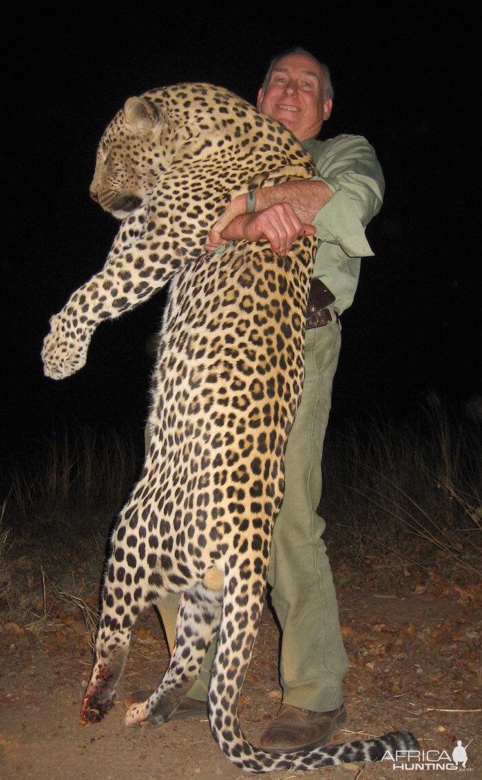 Leopard Hunt Zimbabwe