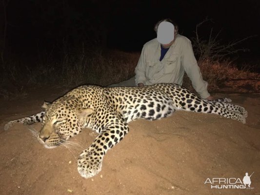 Leopard Hunt Zimbabwe