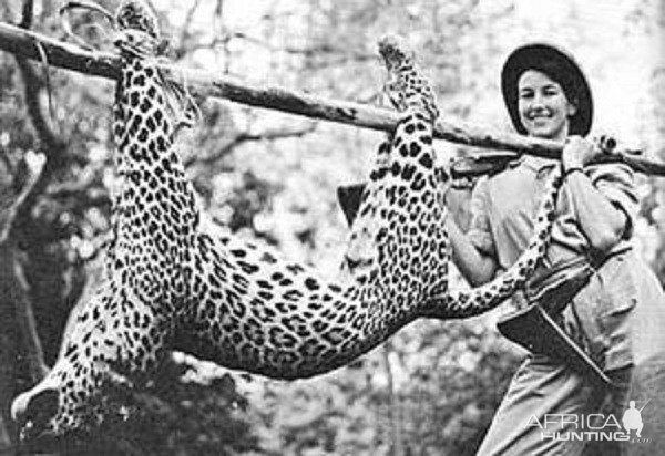 Leopard Hunt | AfricaHunting.com