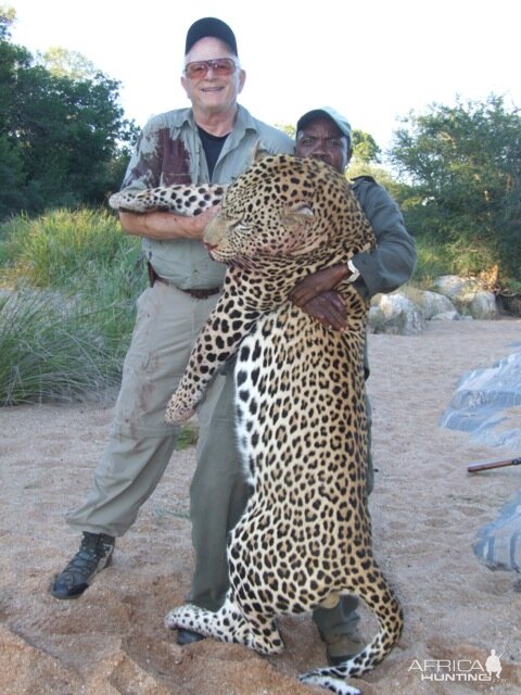 Leopard Hunt