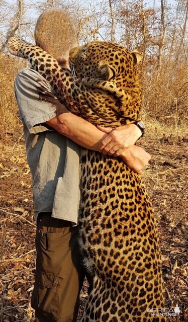 Leopard Hunt