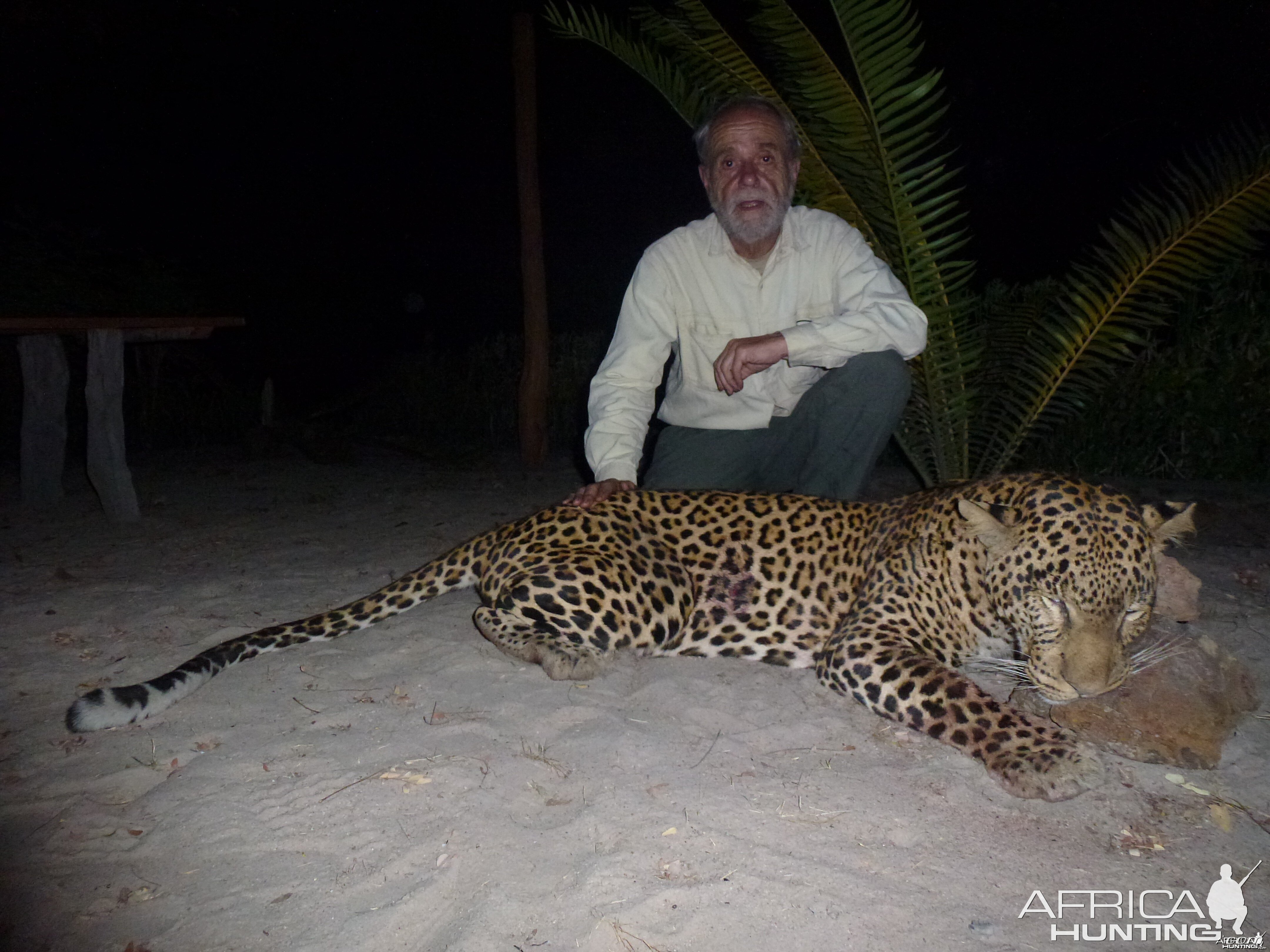 Leopard hunted in Central Africa with Club Faune