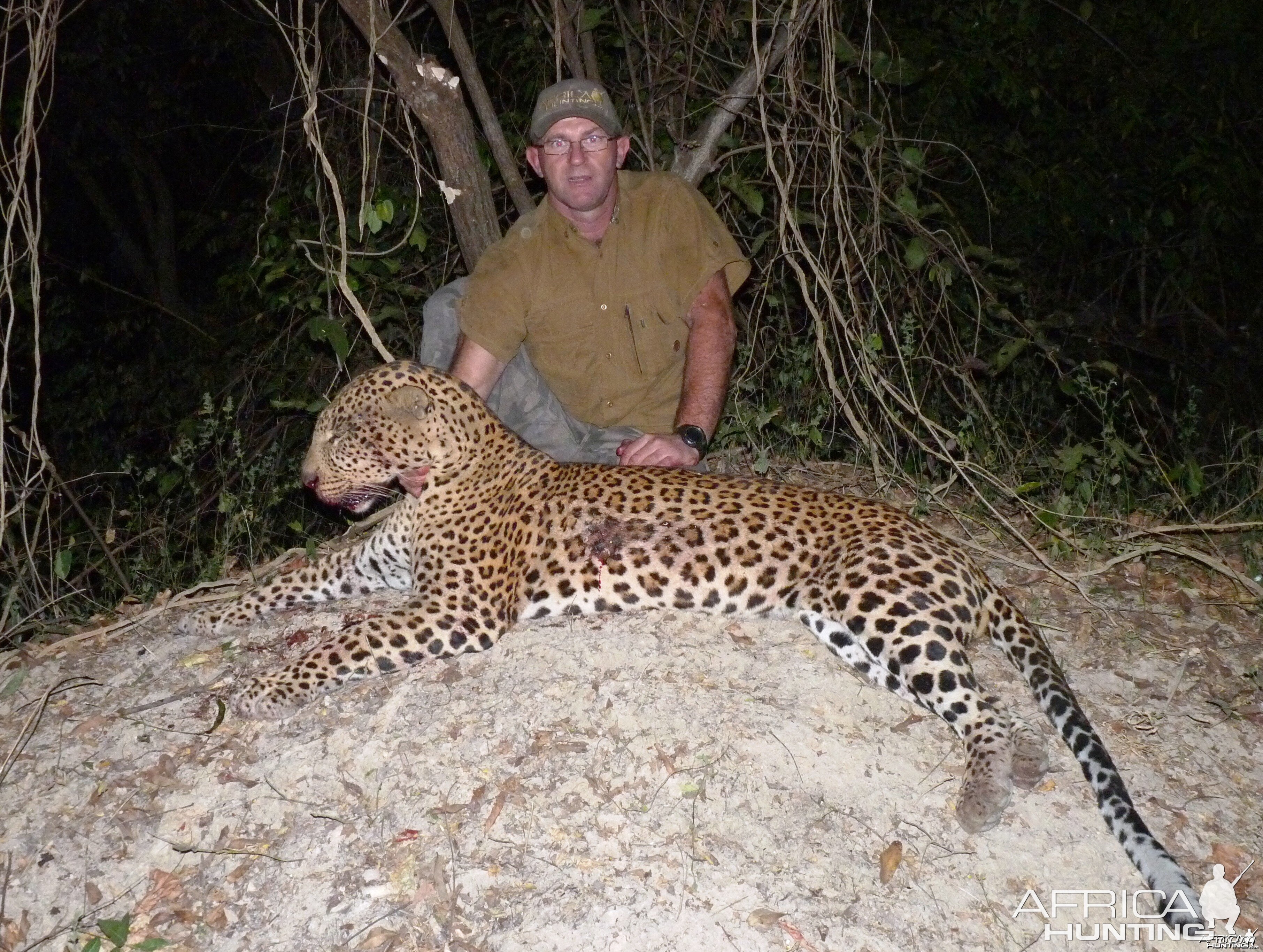 Leopard hunted in Central African Republic