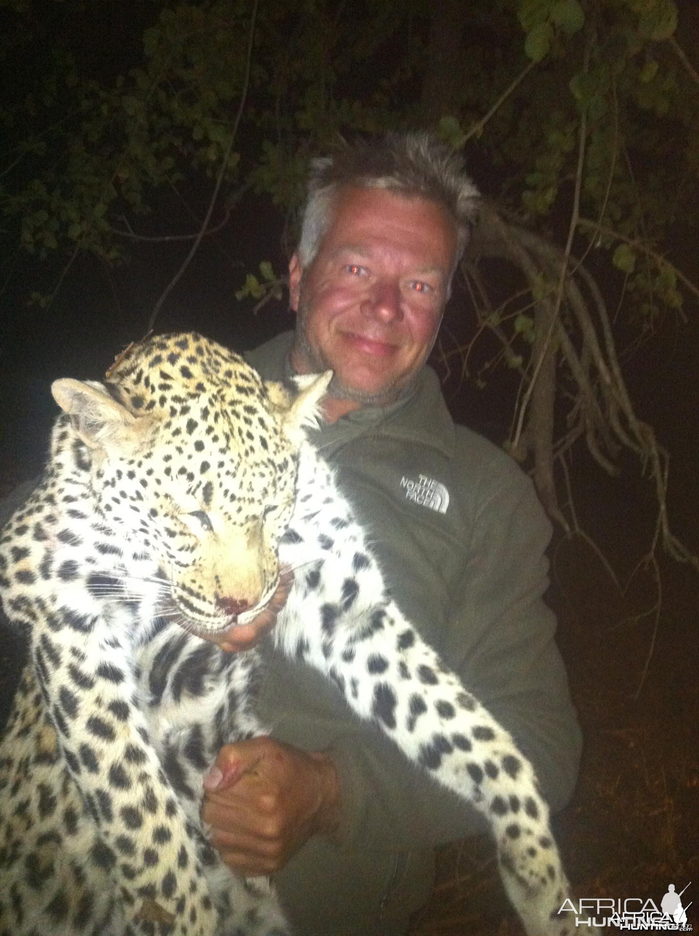 Leopard hunted in Zimbabwe