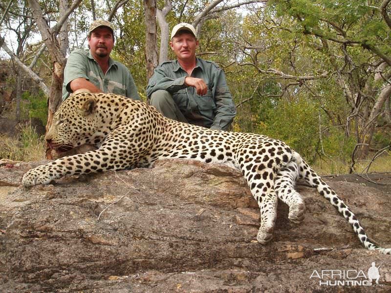 Leopard Hunting in Zimbabwe