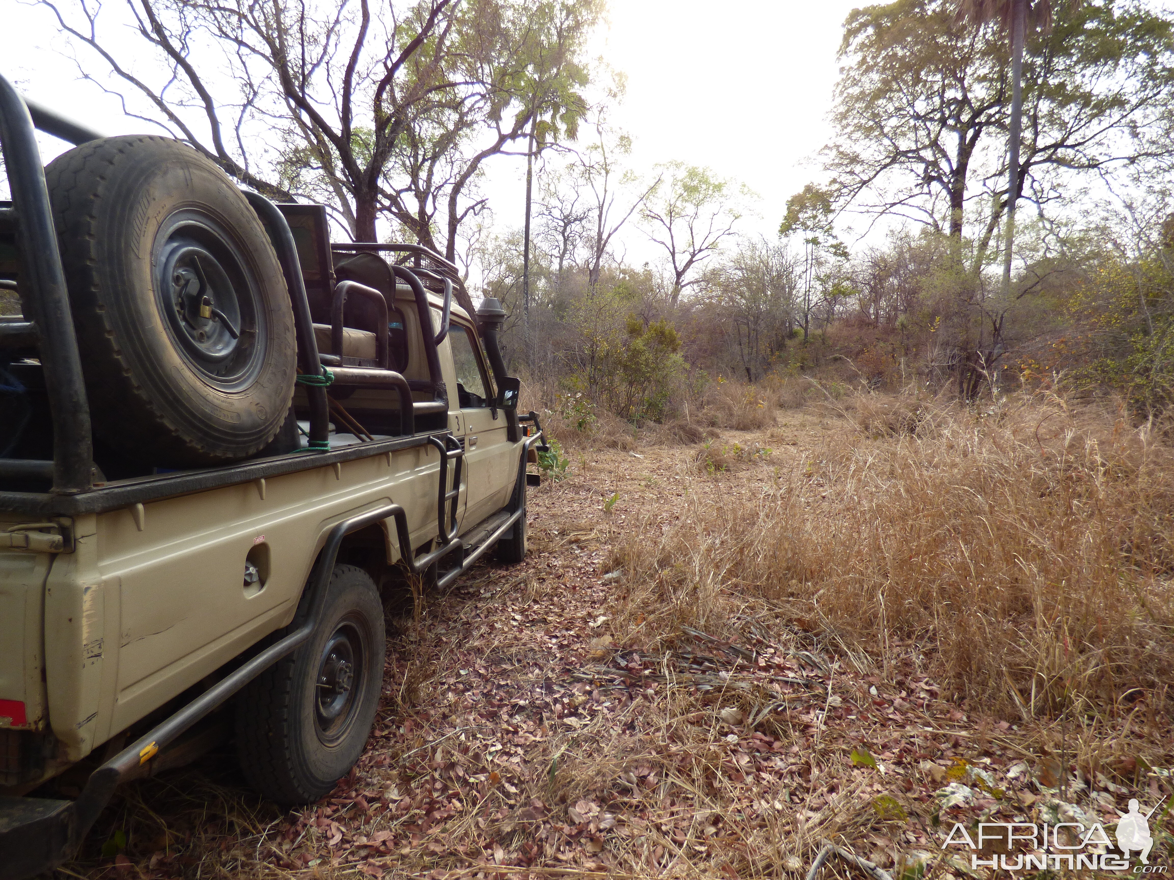 Leopard Hunting in Zimbabwe