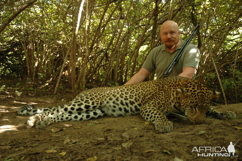 Leopard Hunting in Zimbabwe | AfricaHunting.com